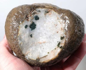 Timor Agate Lapidary Cabbing 2 lb 12 oz. rough lot #R6 - Picture 1 of 17
