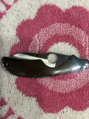 Cuchillo Kiwi Spyderco 75P Brain Corral Foto 1 de 4