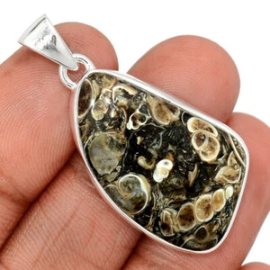 Natürlicher Turtella Jaspis - USA 925 Sterling Silber Anhänger Schmuck CP30624 - Bild 1 von 1