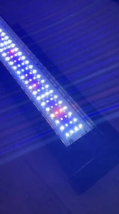 Aquarienbeleuchtung Meerwasser FLUVAL Marine & Reef 2.0 LED – 91-122 cm - Bild 1 von 7