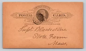 ANTIQUE c1890 Postal Card: To State Farm MA, Be There Sunday, Weather Permitting - Picture 1 of 2