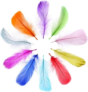 300 Pieces Colorful Nature Feathers for DIY Craft Wedding Jewelry Clothing Home - Picture 1 of 7
