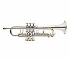 Great Trumpet Brass & Nickel Finish Bb Trumpet Hard Case+ Mouthpiec