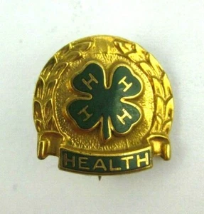 Health 4H GF Pin Eli Lilly 1/20 10k GF 1/2" - Picture 1 of 3