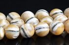 Natural Beige Trochidae Shell Beads Grade AAA Round Loose Beads 8-9/9-10/12-13MM