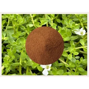 BRAHMI 50% Bacosides EXTRACT POWDER 25g Bacopa monnieri - Cognitive Support - Picture 1 of 1