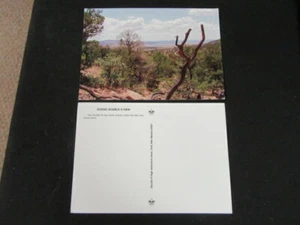 Postal panorámica Philmont Scout Ranch doble vista H c65 - Imagen 1 de 1