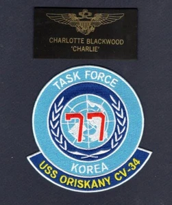 Charlotte CHARLIE Blackwood Top Gun EE. UU. Marina Película Halloween Disfraz Conjunto de Parches - Imagen 1 de 1