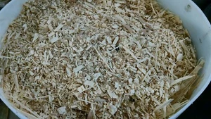 Chips de madera de nogal para fumar a la parrilla cocinar fumador envío prioritario 5-6 libras - Imagen 1 de 2