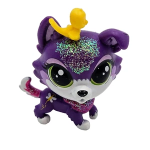 Littlest Pet Shop Dazzle Collier Collie Dog Pet Performers LPS Toy 2016 Read - Picture 1 of 9