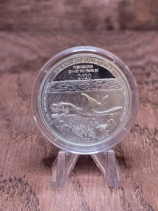 Moneda Congo Plesiosaurus 2020 - Dinosaur Life #2 plata fina .999 - Imagen 1 de 2
