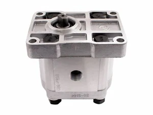 Hydraulikpumpe passend für Woodstar LV 65 (400V) Holzspalter - Bild 1 von 4