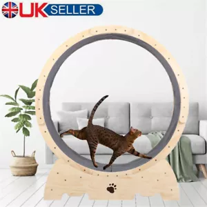 Cat Treadmill Wooden Cat Running Wheel Exercise Wheel w/ Brake Cat Toy Silent UK - Picture 1 of 14