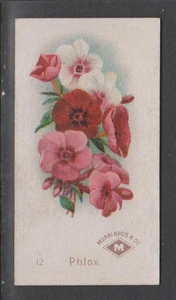 CIGARETTE CARDS Murai 1900 Flowers - #12 Phlox - Picture 1 of 2