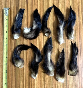 10 Tanned Fitch Tails, Fly Tying, NR - Picture 1 of 1