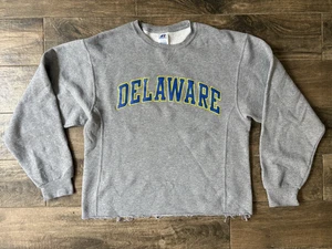Sudadera Pullover Polar Gris Mediano Para Hombre Universidad de Delaware De Colección - Imagen 1 de 10