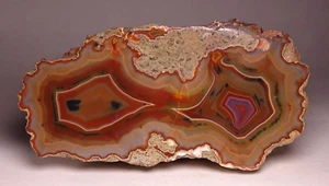 XL Condor Agate Partial Half Nodule Collector Specimen Rock Argentina - Imagen 1 de 6