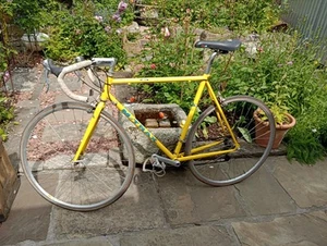 80s 90s Raleigh M-Trax 100-R Road Bike MD 4130 CrMo VF-23-I8 - Picture 1 of 15