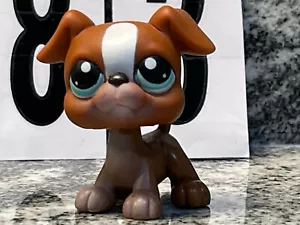 Littlest Pet Shop LPS #83 Boxer Dog Puppy Brown White Blue Dot Eyes HASBRO 2005 - Picture 1 of 6