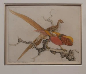 BENSON BOND MOORE Etching RED GOLDEN PHEASANT Southern FL Artist Auctions To 23K - Picture 1 of 12