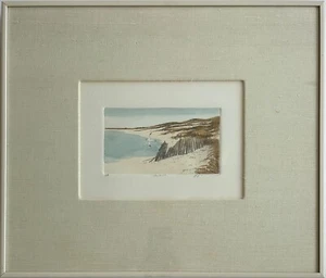 Frank Kaczmarek - A/P, signed colored etching "Lone Gull" with COA - Picture 1 of 7