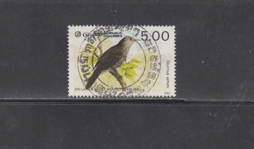 SRI LANKA - 1987 - USED - SCOTT # 838 BIRDS CDS - Image 1 of 1