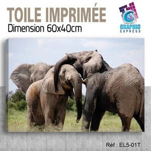 60x40cm -leinwand Gedruckt - Bild Plakat Deko -elefant Felin - EL5-01T - Bild 1 von 1