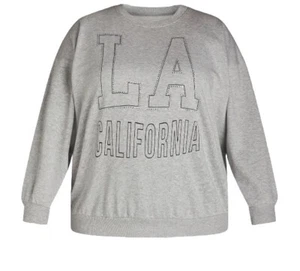 No Boundaries Women's Graphic Crewneck Pullover Sweatshirt Gray NWT - Picture 1 of 3