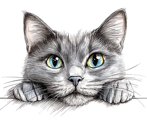 Riesiger XXXL 30X30 cm Autoaufkleber Katze Bleistiftskizzen Aufkleber - Bild 1 von 1