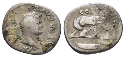 Roman Silver Denarius - Rome 81-96 AD - Domitian - She-wolf - Image 1 of 4