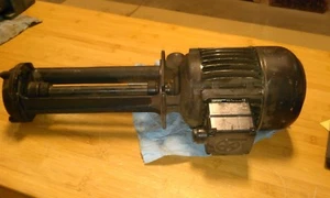 BRINKMANN PUMPS, TS 21S250+001 , MOTOR AND SUBMERSIBLE PUMP. - Picture 1 of 2