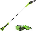 40V 8-Inch Cordless Polesaw, 2.0Ah Battery and Charger Included PS40B210