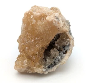 Guscio fossile cristallo calcite miele giallo dorato Mercenaria Florida - Foto 1 di 11