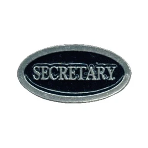 PIN TITOLO SEGRETARIO - Foto 1 di 1