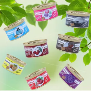 Car Air Freshener Fragrance Long Lasting Scent Tool Home Air Fresheners Cleaning - Foto 1 di 19