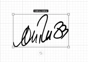 Andre Reed Buffalo Facsimile Signature Autograph Vinyl Sticker Bills Mafia! - Picture 1 of 5