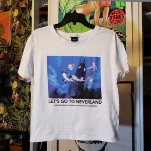 Disney X Zara Peter Pan Tshirt - Picture 1 of 4