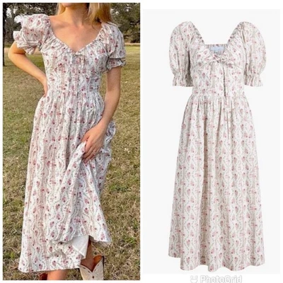 Hill House Ophelia Pink Vine Stripe Dress Size Large - Image 1 of 4