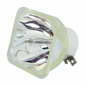 Lutema Economy Bulb for Canon XEED WUX500ST Projector (Lamp Only) - Picture 1 of 6