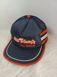 Vtg Au Triumph Forage Tall Fescue Mesh 3 Sriped Trucker Snapback Blue Orange  - Picture 1 of 14