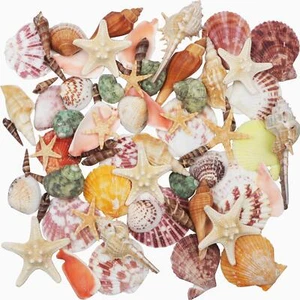70+ Pcs Mixed Sea Shells Starfish for Beach Theme Party Wedding Decorations - Picture 1 of 7