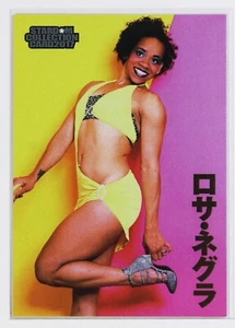 ROSA NEGURA No.89 - 2017 STARDOM Collection Woman's Pro Wrestling Card - Picture 1 of 3
