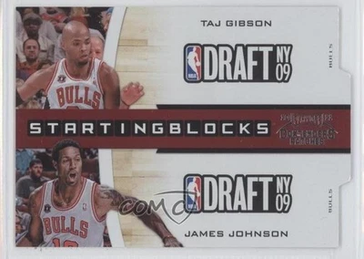 2010 Playoff Contenders Patches Silver Die-Cut /299 Taj Gibson James Johnson #21 - Image 1 of 2