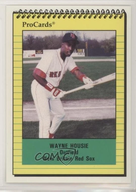 1991 ProCards Minor League Wayne Housie #365 - Image 1 of 2