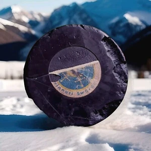 CINCINNATI SWORDS VINTAGE AMERICAN GAME PUCK AHL CCM ART ROSS CONVERSE = 🇺🇸 - Picture 1 of 11