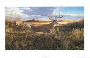 "The Hanson Buck" by Ron Van Gilder. Limited edition print, signed. Hunting. - Picture 1 of 4