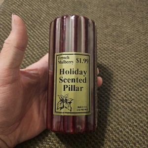 1997 Endless Possibilities Französische Maulbeere Duft Stumpen Weihnachtskerze 6"x3" - Bild 1 von 5