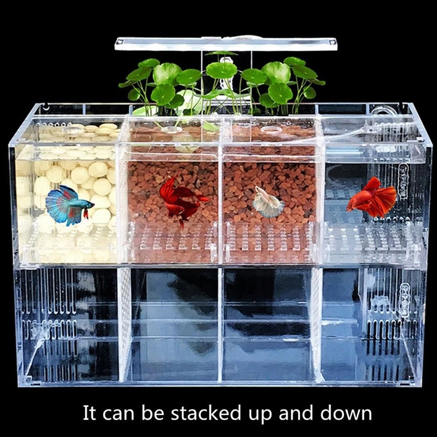 Aquarium LED Acrylic Betta Fish Tank Set Mini Desktop Light Water Pump Filter AU - image 1 of 4