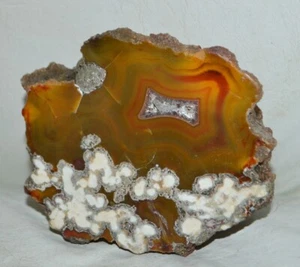Condor Agate from Argentina * collector piece * RARE * - Picture 1 of 4