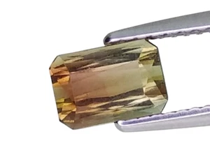 1.405ct Brillante Impresionante Brillo Rosa Verde Natural Bicolor Turmalina Octágono - Imagen 1 de 2